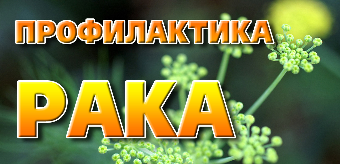 профилактика рака